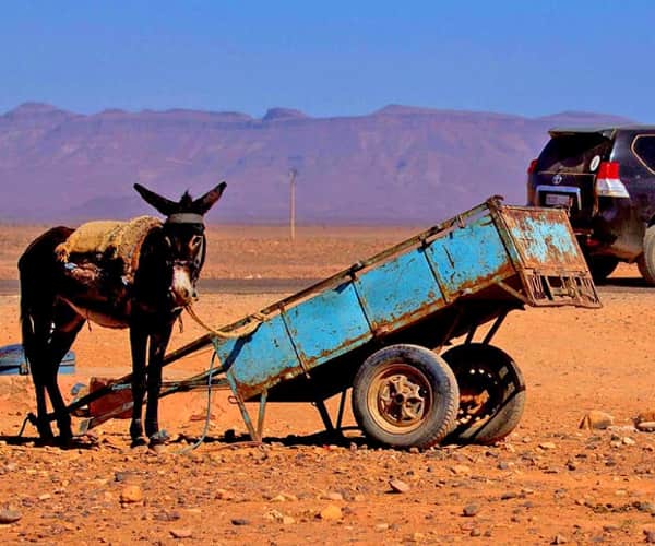 4x4 et 4x4 berbere (le mulet) dans le Sud marocain