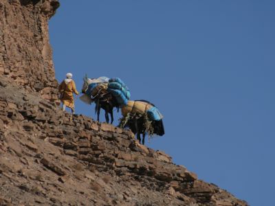 Raid 4x4 Marrakech, retour de souk d'un nomade dans l'Atlas