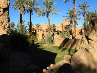 Circuit 4x4 Marrakech, palmeraie de Tazzarine