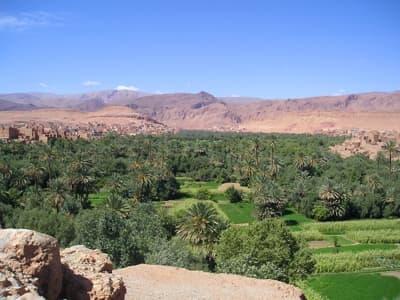 Circuit 4x4 Ouarzazate, palmeraie de Tinerhir