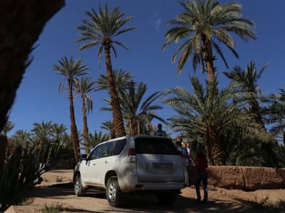 Circuit 4x4 Ouarzazate, 4x4 dans une palmeraie du Draa