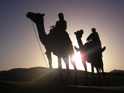 Randonnee chameliere dans le desert au coucher de soleil