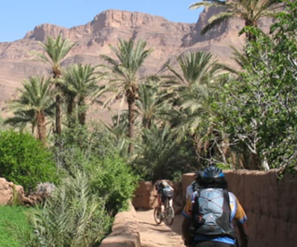 VTT Maroc dans la vallee du Draa